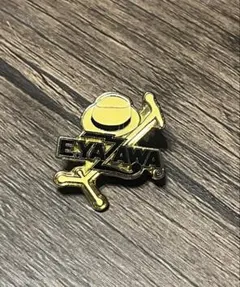 矢沢永吉　金色のハット クロスボーン ピンズ