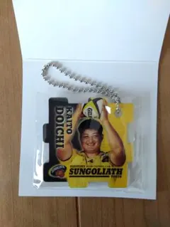 2025年最新】サントリーサンゴリアスの人気アイテム - メルカリ