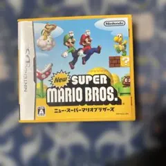 Newスーパーマリオブラザーズ DS