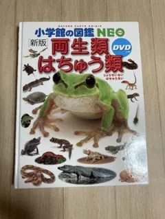 小学館の図鑑NEO 両生類・はちゅう類 DVD付き