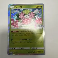 2026年最新】シェイミ ポケモンの家の人気アイテム - メルカリ