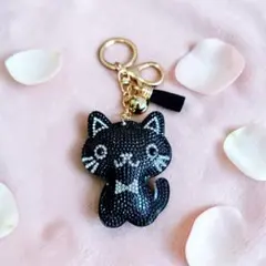 719 シャカシャカ シェイカー キーホルダー ハンドメイド レジン ねこ