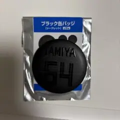 日ハム　田宮ゆあ　缶バッチ