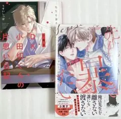 先生を暴きたい 4 うすい しっぽ 小冊子付き