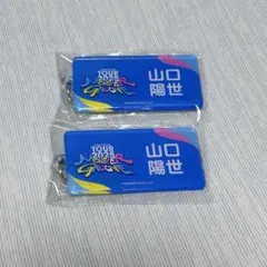 日向坂 ネームアクリルキーホルダー 山口陽世