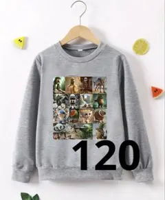 新品　イタリアンブレインロット　120cm トレーナー 長袖 灰色　グレー