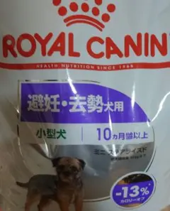 2026年最新】ロイヤルカナンミニステアライズド8kgの人気アイテム