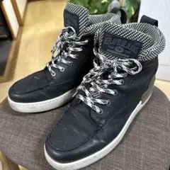 Item thumbnail for item 840831b1-a84c-4690-be77-7a428e7240ac