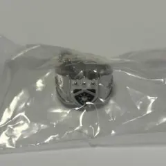 REBORN 家庭教師ヒットマン リボーン ボンゴレリング コレクション　晴①