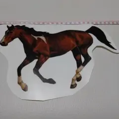 Item thumbnail for item 4de4666e-b8ba-4521-9303-906d70fba7f0