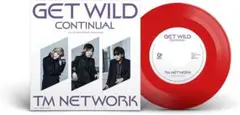 限定版 TM NETWORK GET WILD CONTINUAL レコード