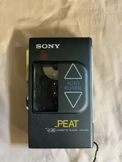 2026年最新】SONY TPS-R10の人気アイテム - メルカリ