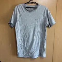 patagonia オーガニックコットン Tシャツ Sサイズ