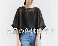 MICA&DEAL / マイカアンドディール/メッシュTシャツシアー素材のサムネイル
