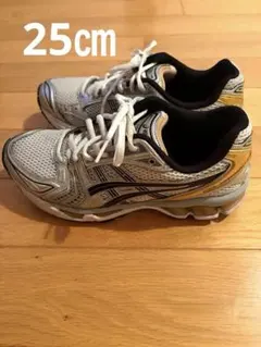 ASICS GEL-KAYANO シルバー ✖️ゴールドランニングシューズのサムネイル