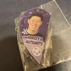 Item thumbnail for item a54e9419-0571-4f05-8461-5308464a98a5