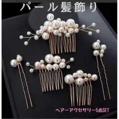 パール髪飾り 5点 ヘアピン 成人式 卒業式 謝恩会 結婚式 女子会 発表会