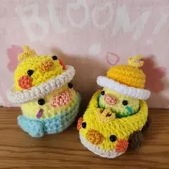 あみぐるみ オカメちゃんカーと帽子をかぶったインコのサムネイル