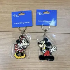 ディズニー ミッキー ミニー アクリルキーチェーン
