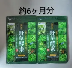 小林製薬 野菜と酵素EX 30日分 120粒 - メルカリ
