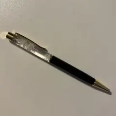 アニサキス入りボールペン 標本