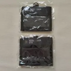 新品☆未開封☆群馬クレインサンダース☆チケットホルダー☆チケットケース