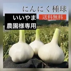 【ニンニク種球】いいやま農園　合計350球① ニンニク種球】いいやま農園様専用 合計350球① - メルカリ