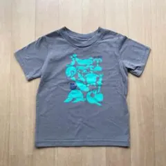 【記名跡あり】パタゴニア　半袖Tシャツ　12M〜18M 80〜90くらい