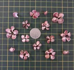 貝殻　かけら②　くすみピンク　濃い紫など　天然素材　ハンドメイド　アート