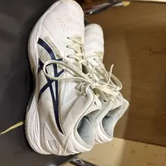 バッシュ バスケットボール