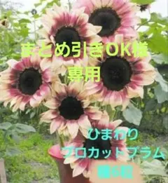 まとめ引きOK プロフィール読んで下さい様 リクエスト 2点 まとめ商品