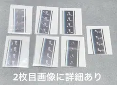 タブナイ コマフィルム 蘭丸