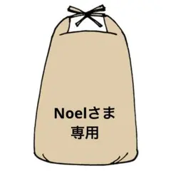 ✨Noelさま専用✨