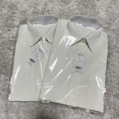 Item thumbnail for item 61819f56-10aa-4147-9608-2444fb5c92a6