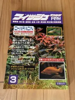 フィッシュマガジン 1996年3月号 No.360