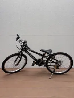 ルイガノ TR2  屋内保管 タイヤ新品 LGS-TR2 / LOUIS GARNEAU / ルイガノ製品紹介