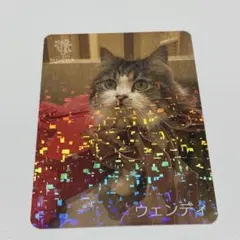 MOCHAにゃんずトレカ〜2026 Spring〜いちご収穫祭 - メルカリ