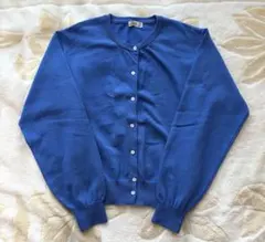 【お値下げOK】ブルーカーディガン｜青色｜春カラー｜フリーサイズ