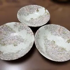 Item thumbnail for item 10c5b7bf-319d-4e85-9112-942d8010548f