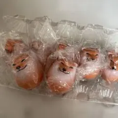 シバコ　７個セット