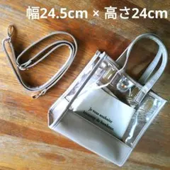 Item thumbnail for item 8783a079-68bd-47fd-9864-3e7938c13260