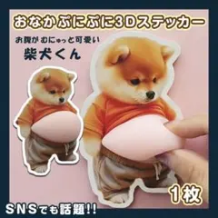 おなか ぷにぷに シール 柴犬 3D 立体 ステッカー 1枚 ぷっくりお腹 いぬ