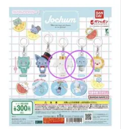 jochumめじるしアクセサリー ルル　マイクン