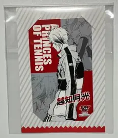新品 新テニスの王子様 ジャンフェス 越知月光 代表スーツ 缶バッジ