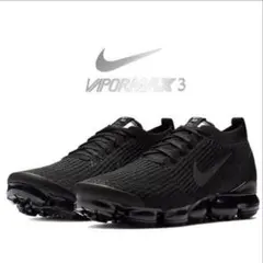 Item thumbnail for item 7db78a79-21eb-4bf7-9cd3-2318ed0afce9