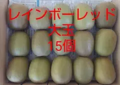レインボーレッド大玉 15個