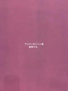 アンバーキャット様 リクエスト 2点 まとめ商品