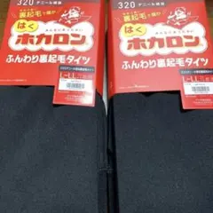 ホカロンふんわり裏起毛タイツ　320デニール2枚セット