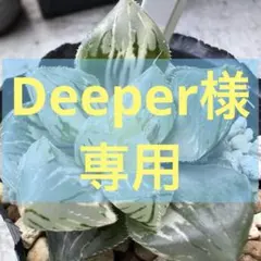 Deeper様 リクエスト 2点 まとめ商品