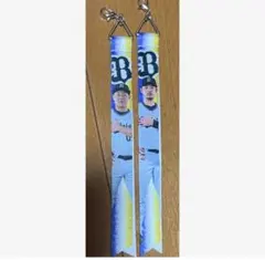 Item thumbnail for item 39fcf082-5897-4220-b34e-d894201e351d